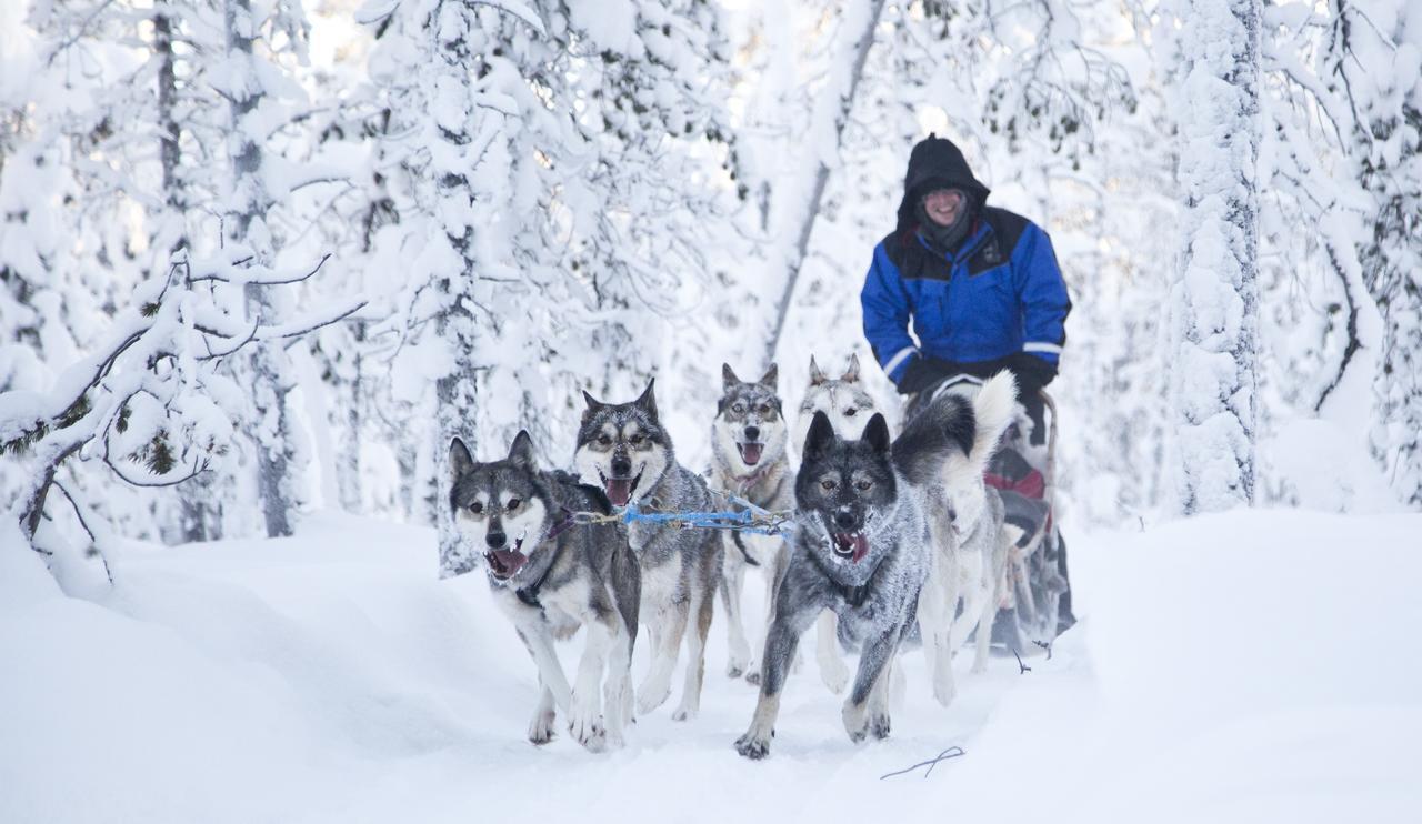 Hotel Wilderness & Igloos Inari