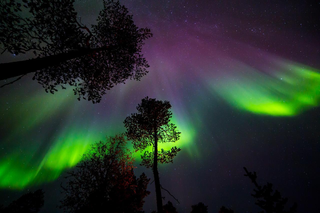 Wilderness & Igloos Inari